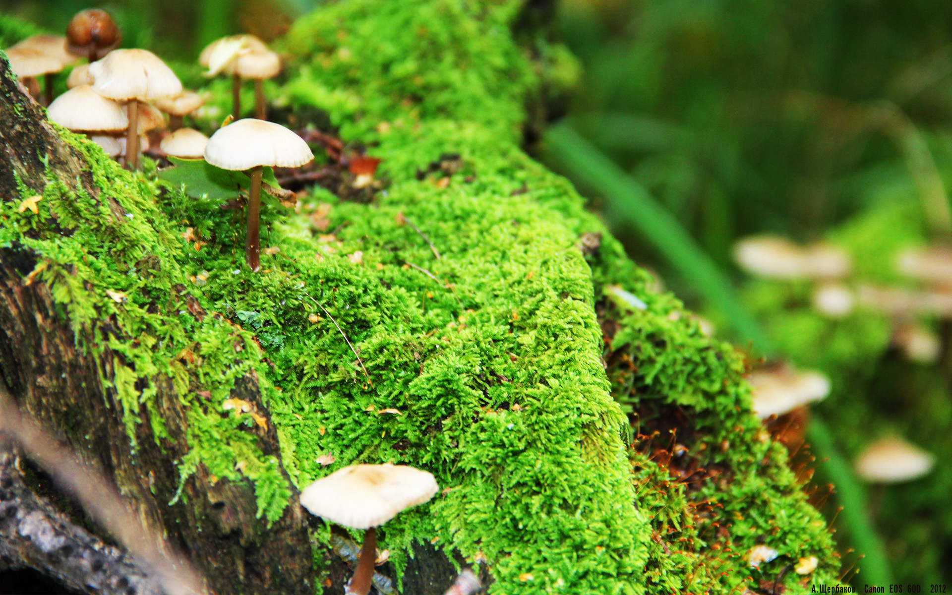 绝境亮剑！梁靖崑惊天逆转，中国队决胜局绝杀奥地利