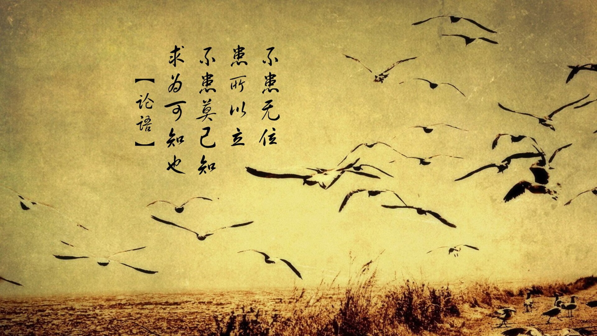 双线奏凯，泰国队轻取印尼展团队锋芒，戴资颖独舞赛场点燃热焰