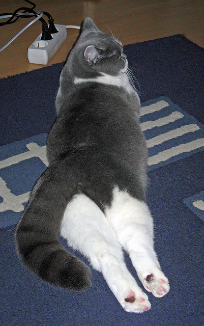 最后一把锁,马克西末节锁死对手,老鹰逆转广厦拿下关键战