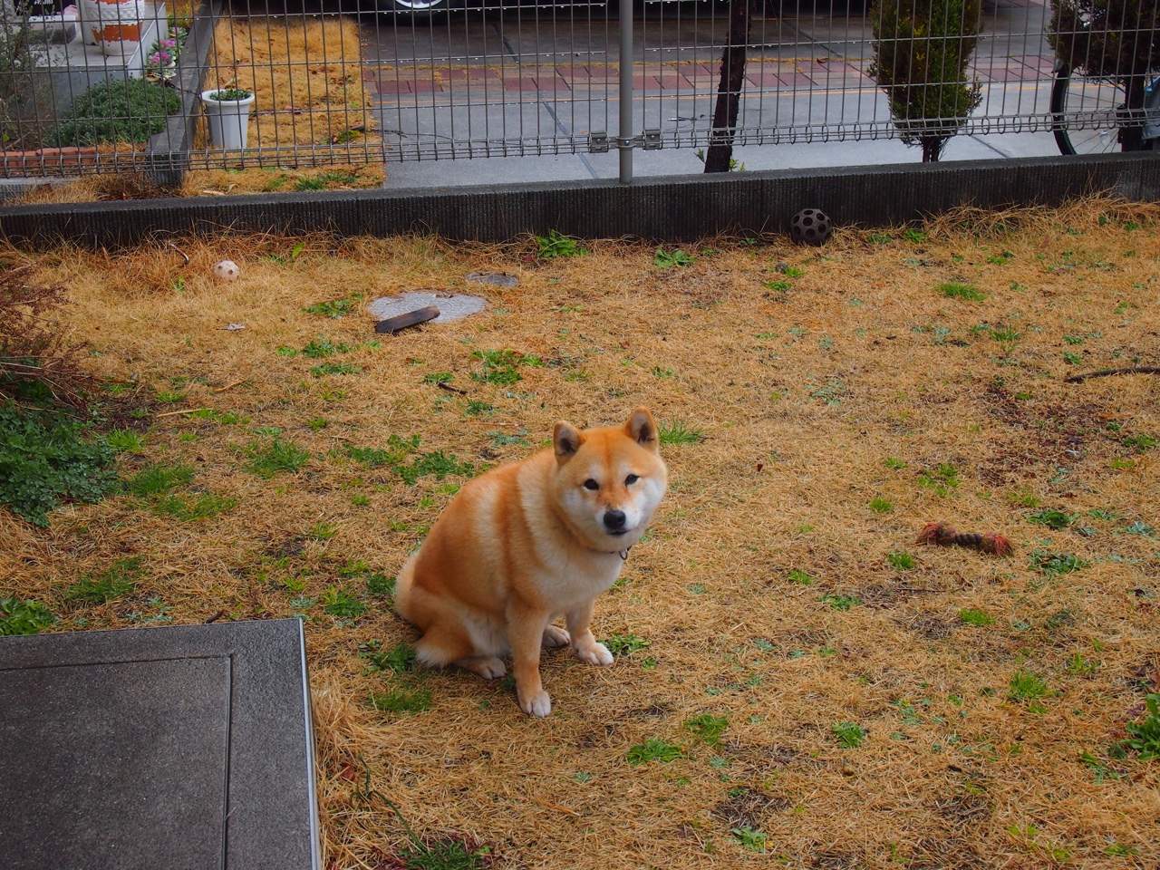 绝境中的王者，阿圭罗闪耀全场，马竞客胜土耳其彰显巨星价值