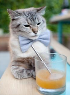 关键先生爱德华兹闪耀,尼克斯狂胜老鹰迎大捷