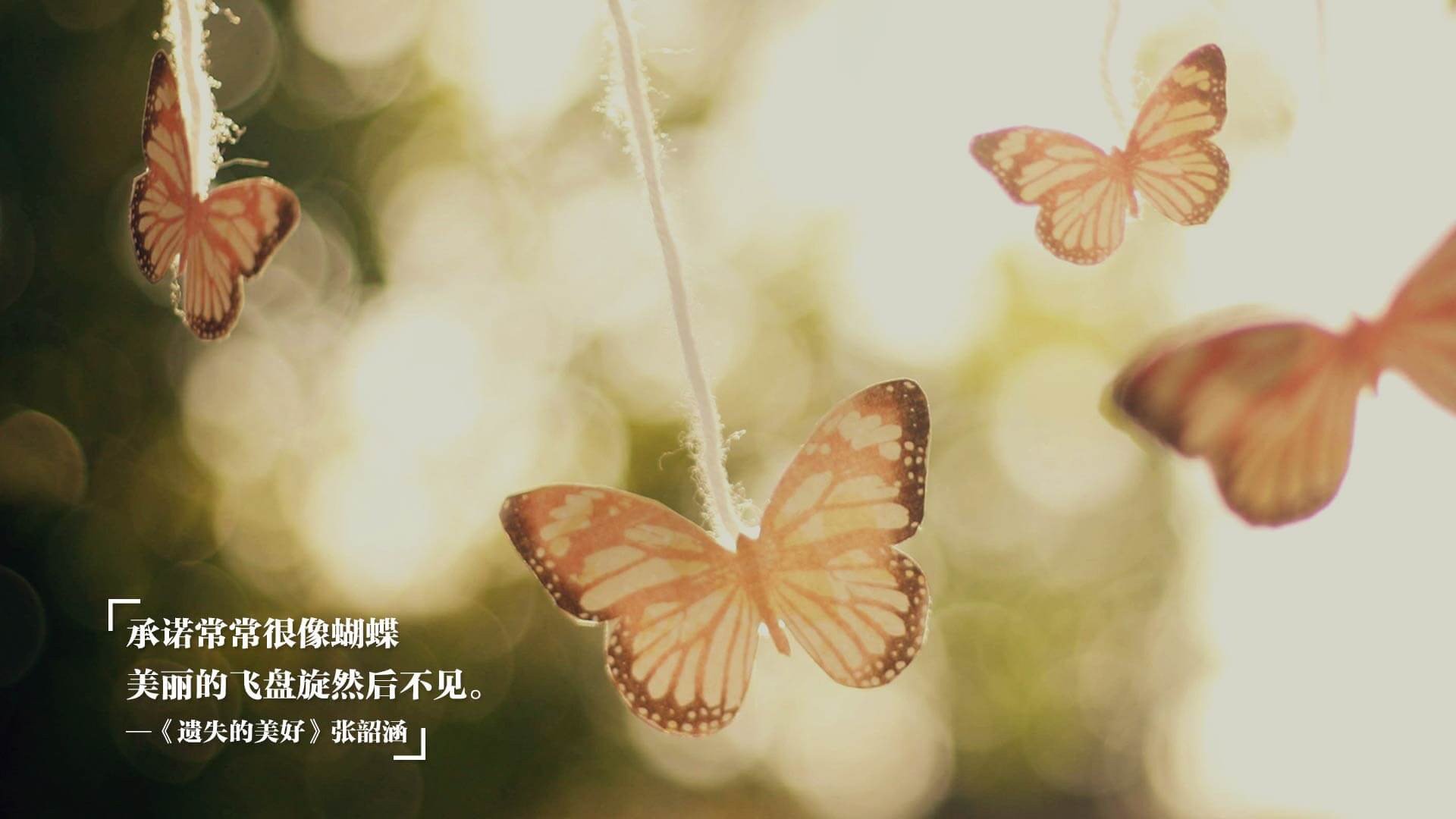 黑马的崛起，2026世界杯尼日利亚完胜瑞士，萨内闪耀全场的战术革命