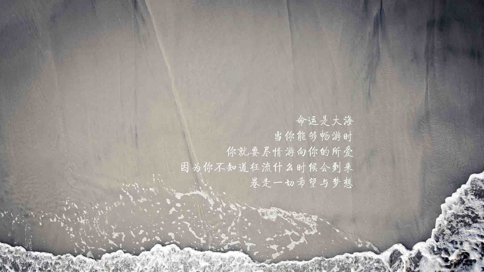 中场定乾坤，当加维的节拍器响起，波兰在2026世界杯E组上演钢铁风暴